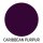 LINEA NATURA® Farblack - CARIBBEAN 1 L PURPUR
