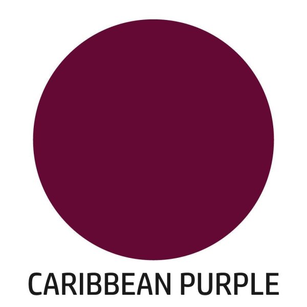 LINEA NATURA® Farblack - CARIBBEAN 2,5 L PURPLE