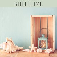 Farblack - SHELLTIME 375 ml SHELL