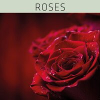 Farblack - ROSES 375 ml PURPLE