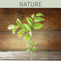 Farblack - NATURE 375ml MOSS