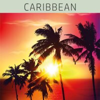 Farblack - CARIBBEAN 375 ml PURPLE