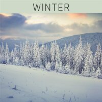 LINEA NATURA® - Farblack - WINTER 1 L SNOW FLAKE