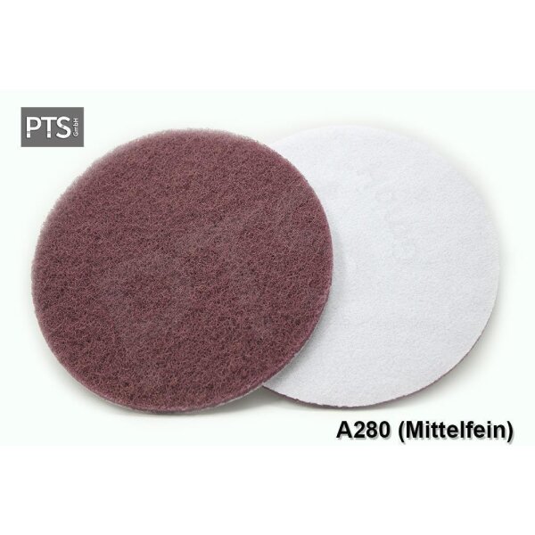 LINEA NATURA® 10 x LN Schleifscheibe Vlies Klettschleifscheiben Ø125 mm | Korn A280